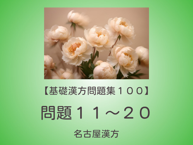 漢方問題集100