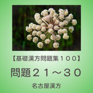 基礎漢方問題集１００