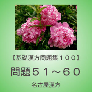 基礎漢方問題集１００