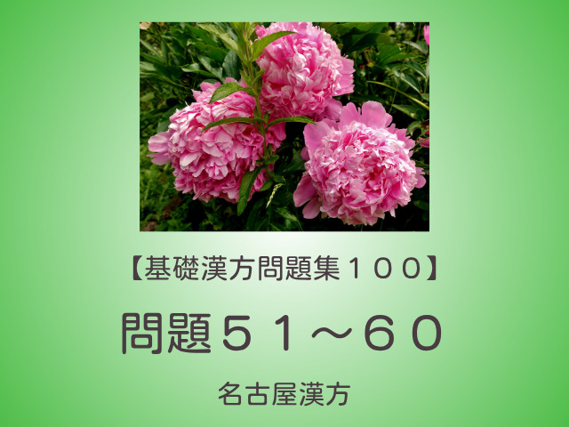 基礎漢方問題集１００