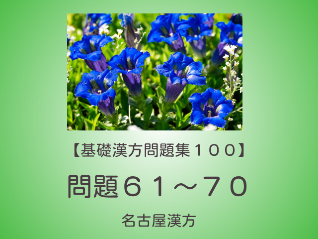 基礎漢方問題集１００